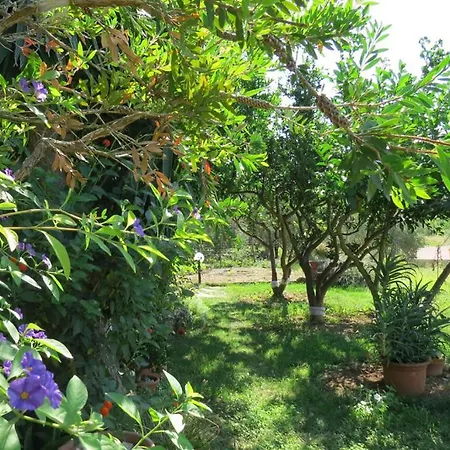 Apartment Bepina Promajna