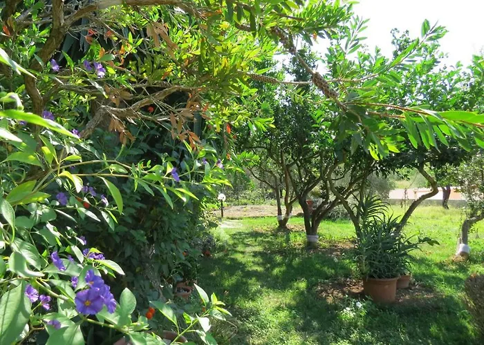 公寓 Bepina 普罗马尼亚