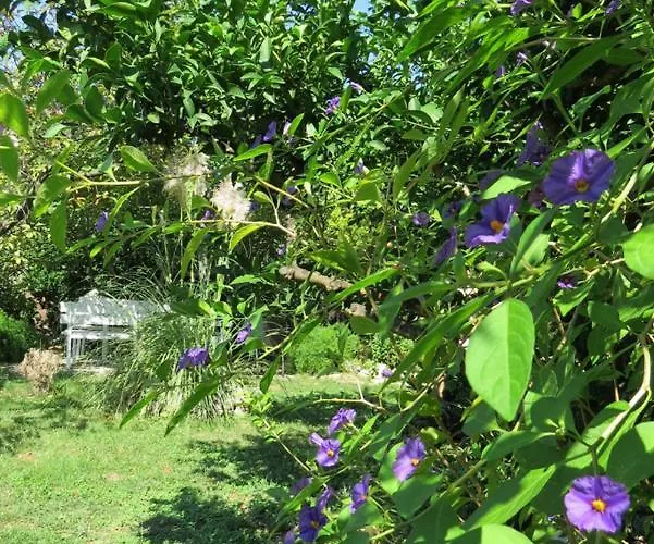 公寓 Bepina